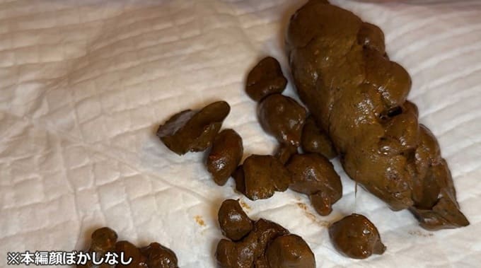 SNSで繋がった素人OLうんこを見せてもらった ゆかな25歳OL